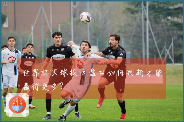 世界杯买球投注盘口如何判断才能赢得更多？