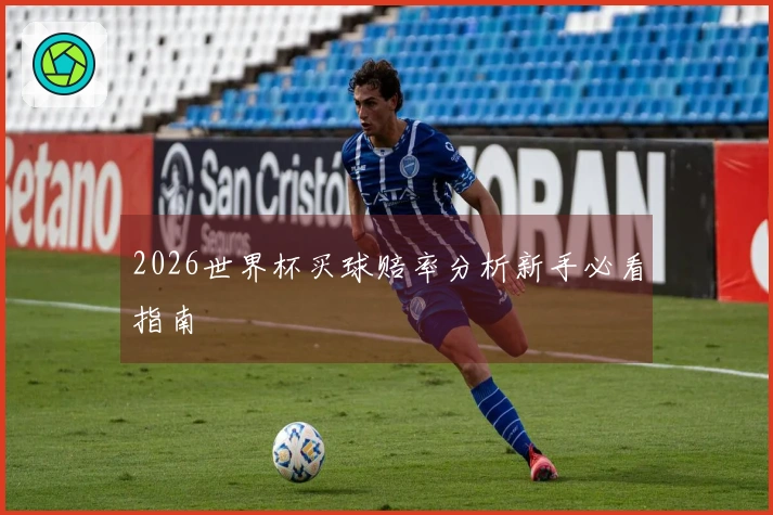 2026世界杯买球赔率分析新手必看指南