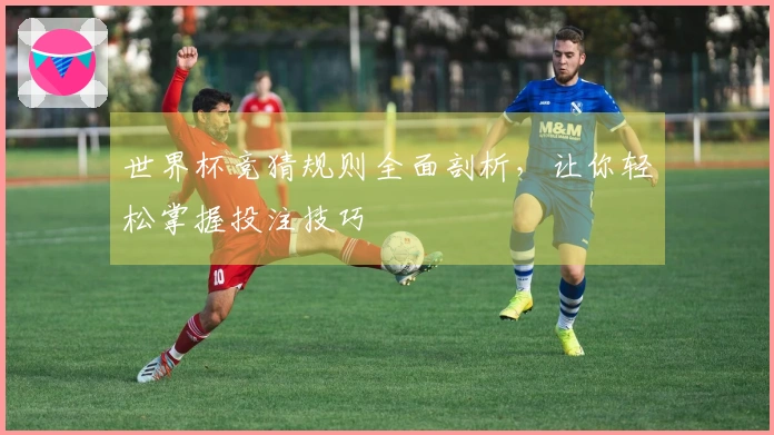 世界杯竞猜规则全面剖析，让你轻松掌握投注技巧