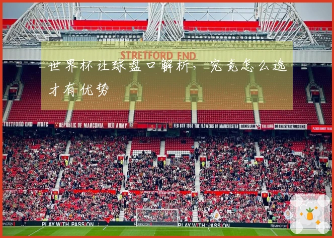 世界杯让球盘口解析，究竟怎么选才有优势
