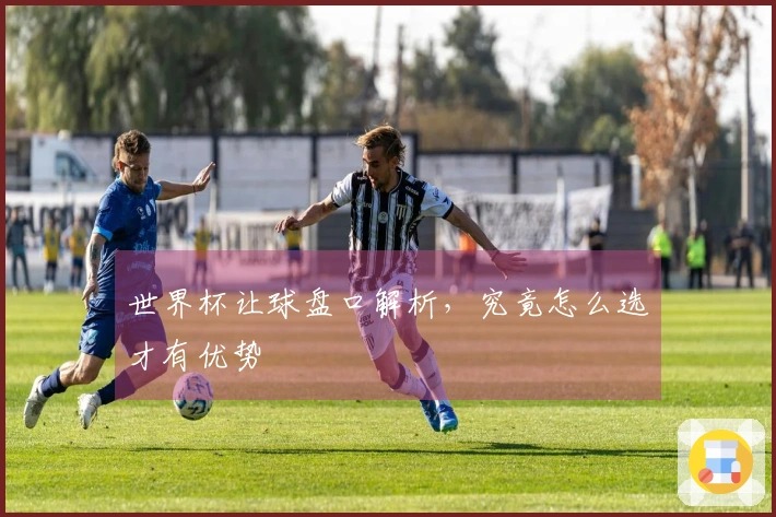 世界杯让球盘口解析，究竟怎么选才有优势