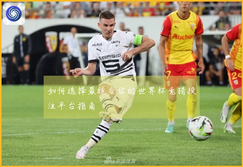 如何选择最适合你的世界杯竞猜投注平台指南