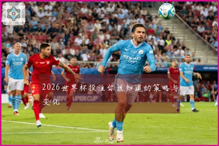 2026世界杯投注你该知道的策略与变化