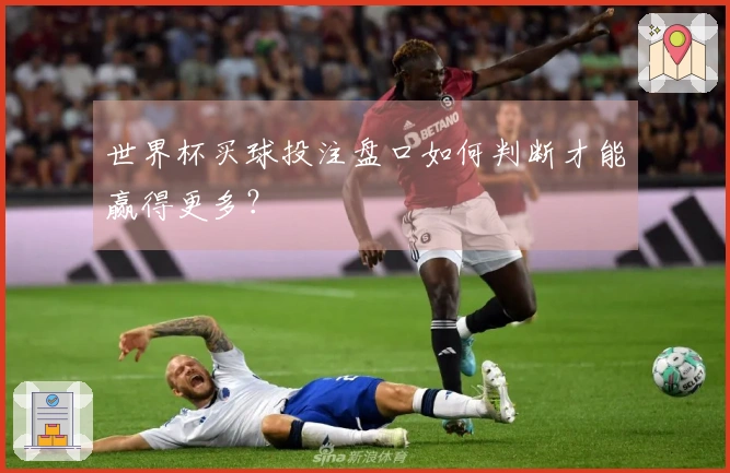 世界杯买球投注盘口如何判断才能赢得更多？