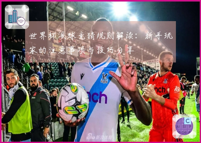 世界杯滚球竞猜规则解读：新手玩家的注意事项与技巧分享