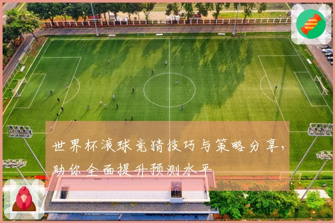 世界杯滚球竞猜技巧与策略分享，助你全面提升预测水平